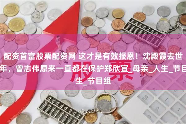 配资首富股票配资网 这才是有效报恩！沈殿霞去世17年，曾志伟原来一直都在保护郑欣宜_母亲_人生_节目组